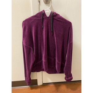 Calvin Klein Velvet Hoodie